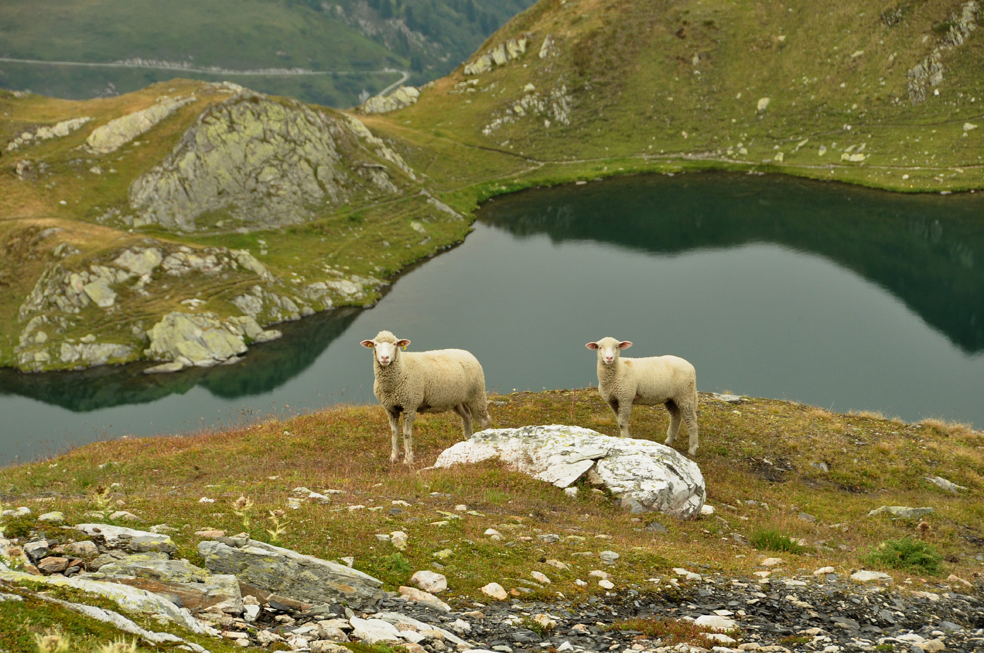Lacs de Fenêtre